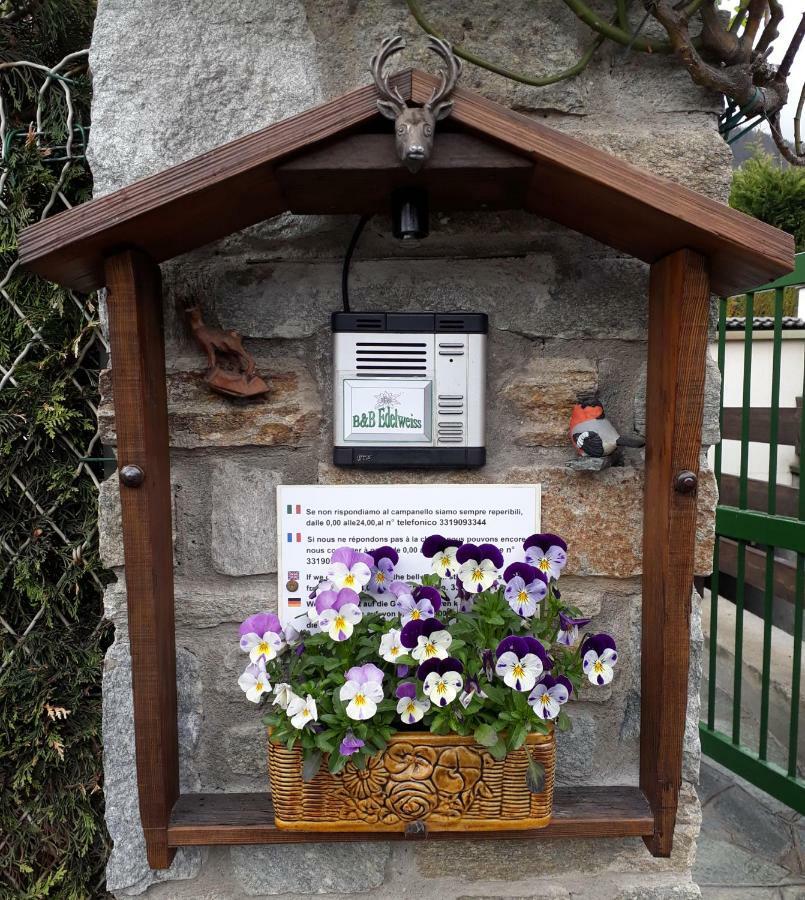 B&B Edelweiss Oulx Værelse billede